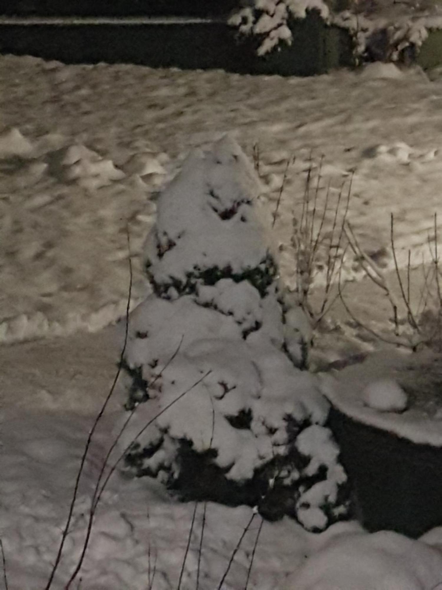 Stas -Przy Szkole Nr 3 W Skawie Skawa Oda fotoğraf