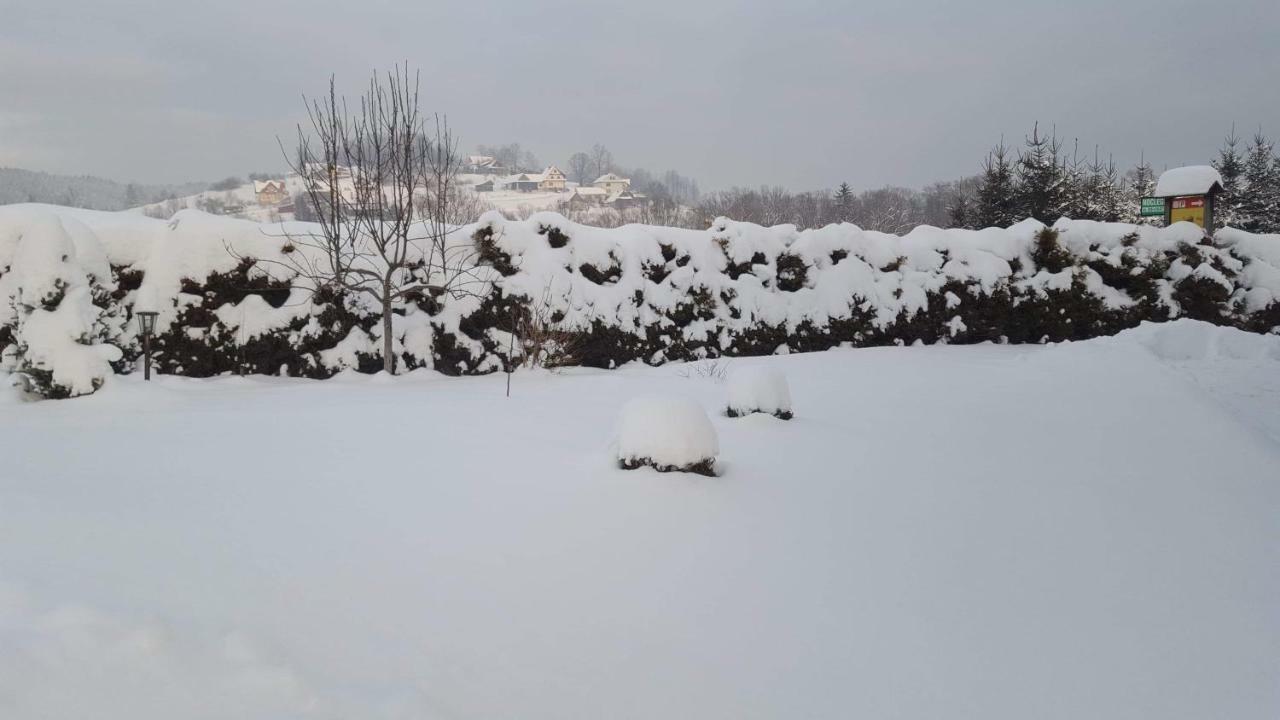 Stas -Przy Szkole Nr 3 W Skawie Skawa Dış mekan fotoğraf