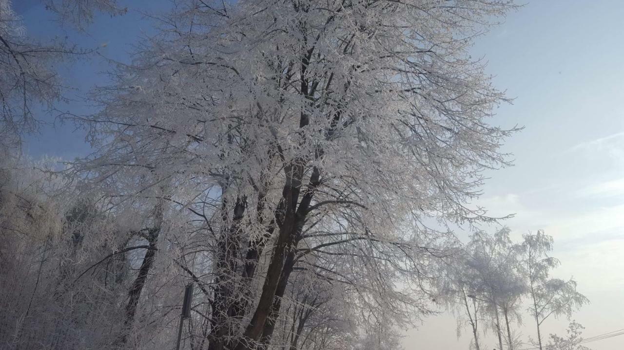Stas -Przy Szkole Nr 3 W Skawie Skawa Dış mekan fotoğraf