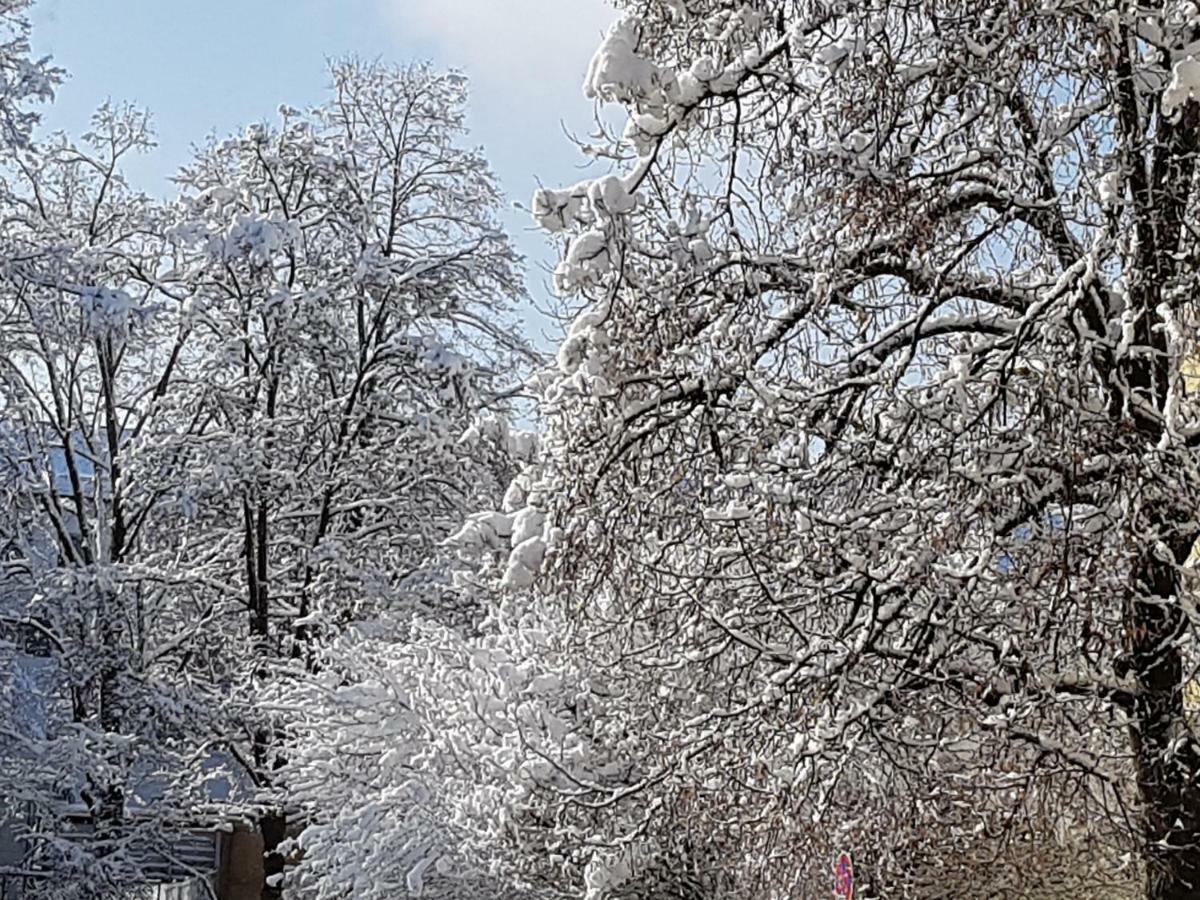 Stas -Przy Szkole Nr 3 W Skawie Skawa Dış mekan fotoğraf